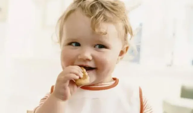 Fransa’da Carrefour’un bebek bisküvisi geri çağrıldı