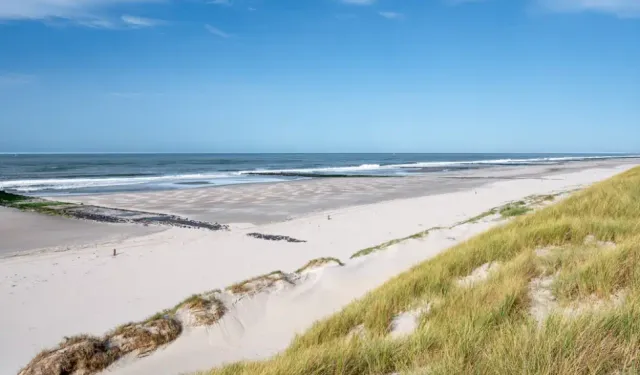 Hollanda’nın en temiz plajları
