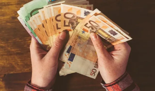 Almanya’da bir genç 900 euro için annesini bıçaklayarak hayatına son verdi