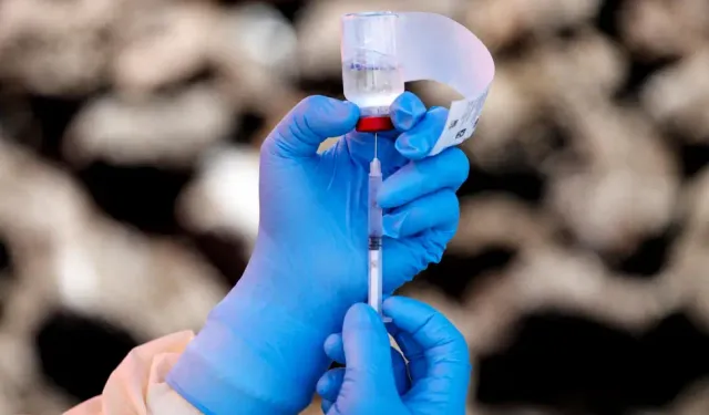 DSÖ’den Ebola alarmı: Aşısı olmayan varyant yayılıyor