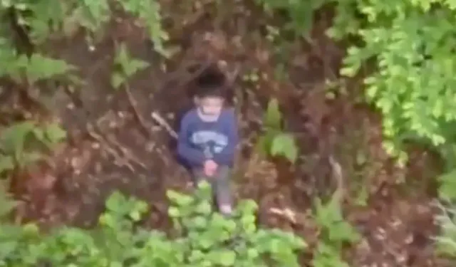 Ayıların yaşadığı ormanda kaybolan küçük çocuk 3 gün sonra sağ bulundu