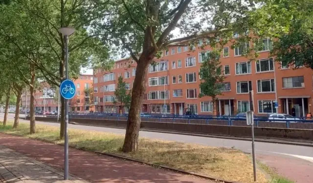 HOLLANDA