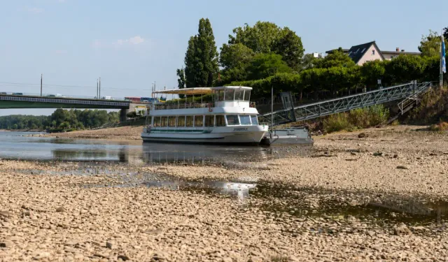 Almanya'da Ren Nehri'nde su seviyesi düştü, gemi seferleri yapılamıyor