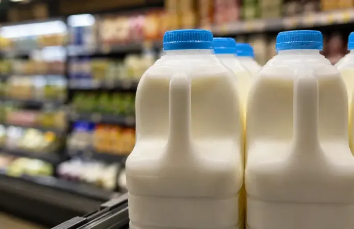 Hollanda'da plastik süt şişelerine depozito geliyor