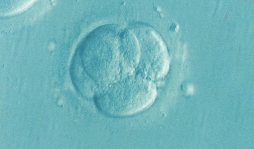 Hollanda’da doğurganlık tedavisinde kendi spermini kullanan doktorun çocuklarında genetik bozukluk tespit edildi