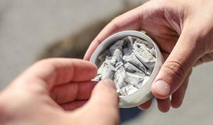 Hollanda’da suç örgütlerinin yeni hedefi: Nikotin torbası (snus) kullanan çocuklar! (VIDEO)