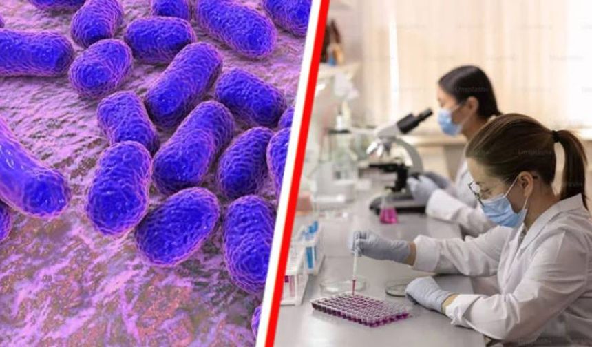 Yapay zeka ölümcül süper virüse karşı yeni bir antibiyotik keşfetti