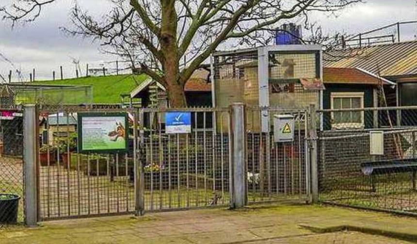 Hollanda’da 9 yaşında bir çocuk hayvanat bahçesindeki 9 hayvanı boğarak öldürdü