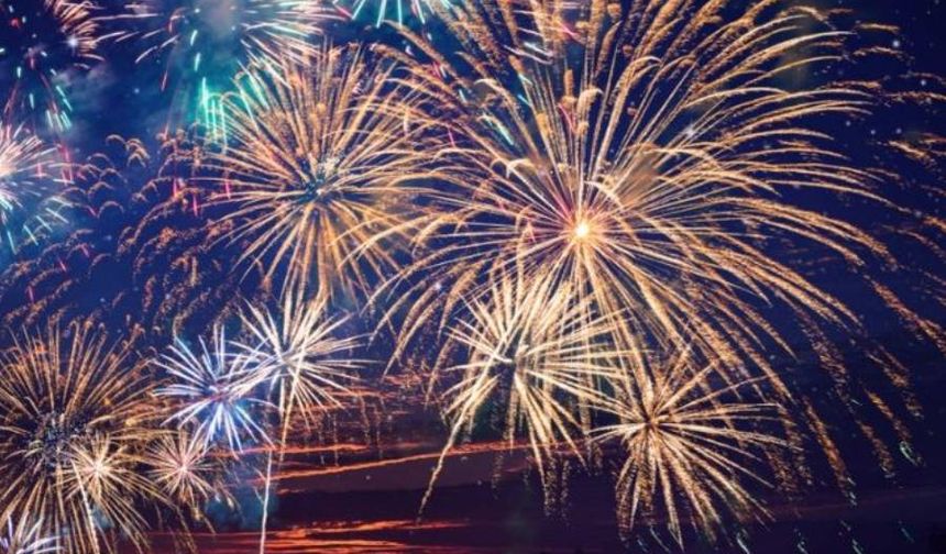 Hollanda’da bu yıl havai fişeğin yasak olduğu belediyelerin listesi