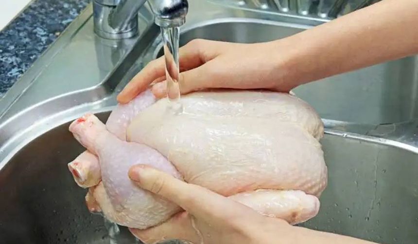 Belçika’da salmonella riski taşıyan tavuklar geri çağrıldı