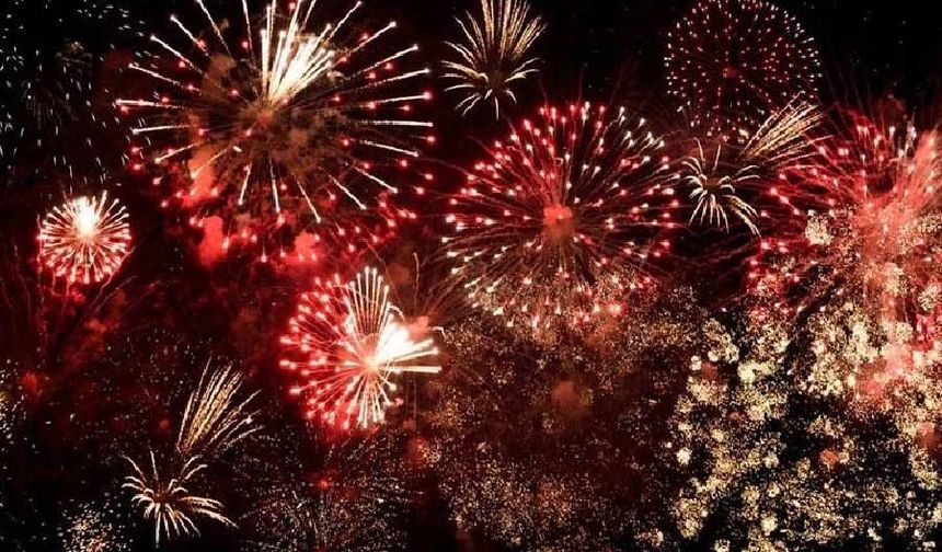 Almanya’da milyonlarca kişi havai fişeğin yasaklanmasını istiyor