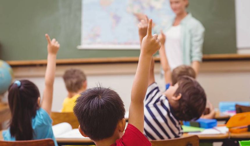 Hollanda Eğitim Kurulu: Okullarda farklı ana dillere yer verilmeli