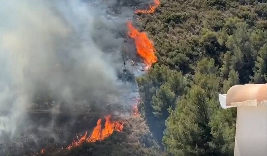 Fransa’da orman yangını: 110 kişi yaralandı, 400 kişi tahliye edildi