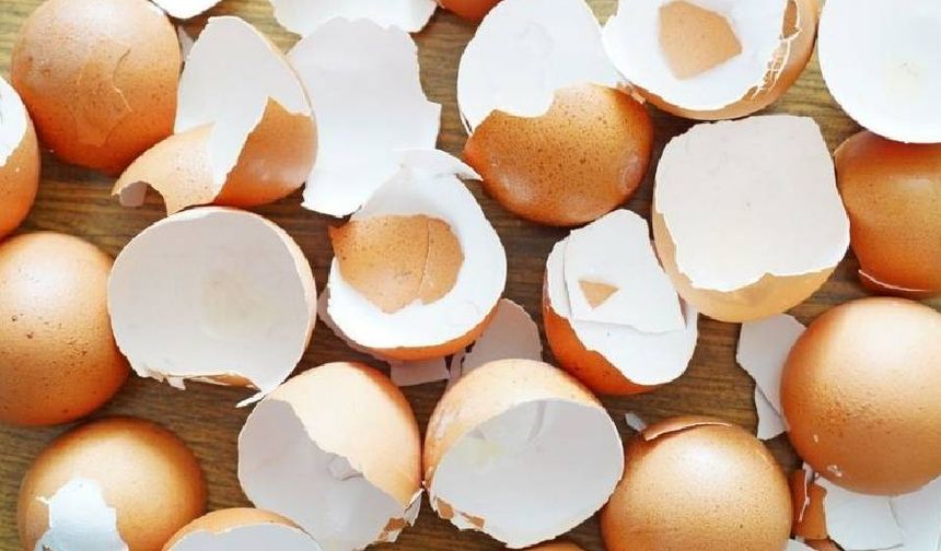 Yumurta kabuklarını günlük hayatta kullanmanın yolları