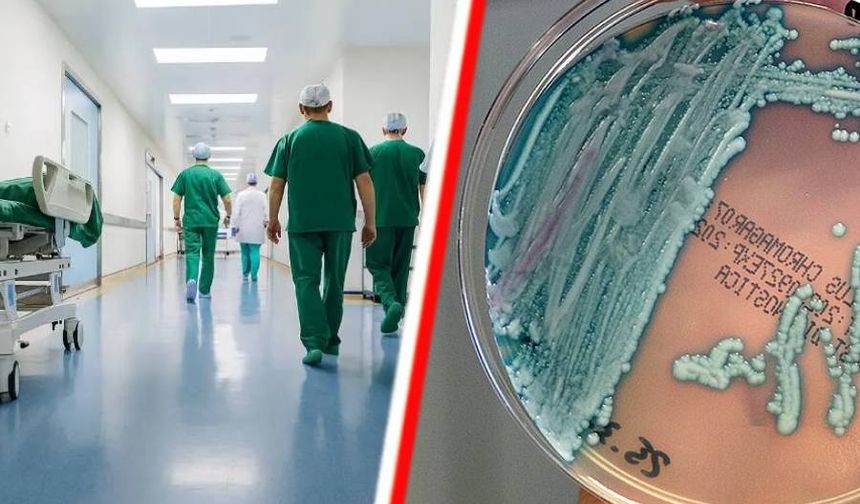 Avrupa'da hastanelerde yayılan ölümcül mantar enfeksiyonu nedir?