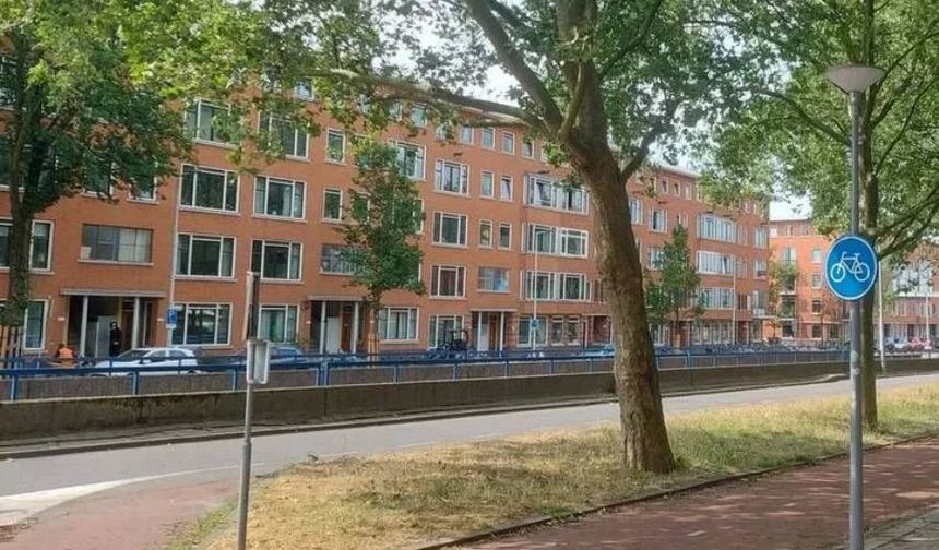 Hollanda’da kiraların en fazla arttığı şehir Rotterdam