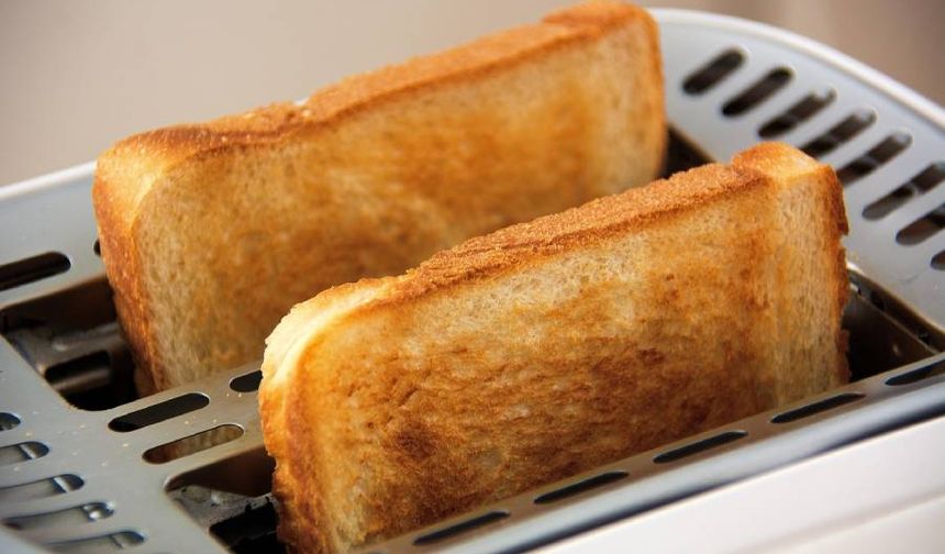 Almanya’da tost ekmekleri test edildi: Altısı sınıfta kaldı
