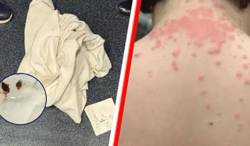 Hollanda aktarmalı uçuşta tahtakurusu iddiasıyla KLM’e 200 bin dolarlık dava