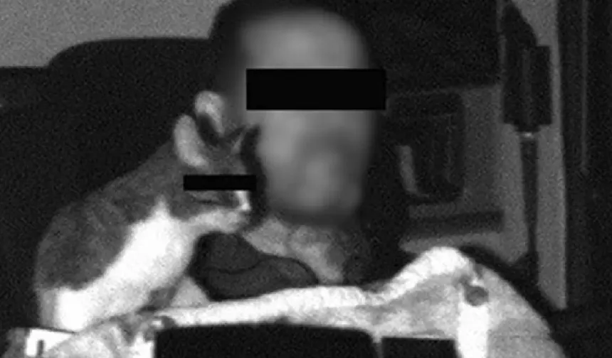 Almanya’da direksiyon başında kedisiyle yakalanan TIR şoförüne ceza