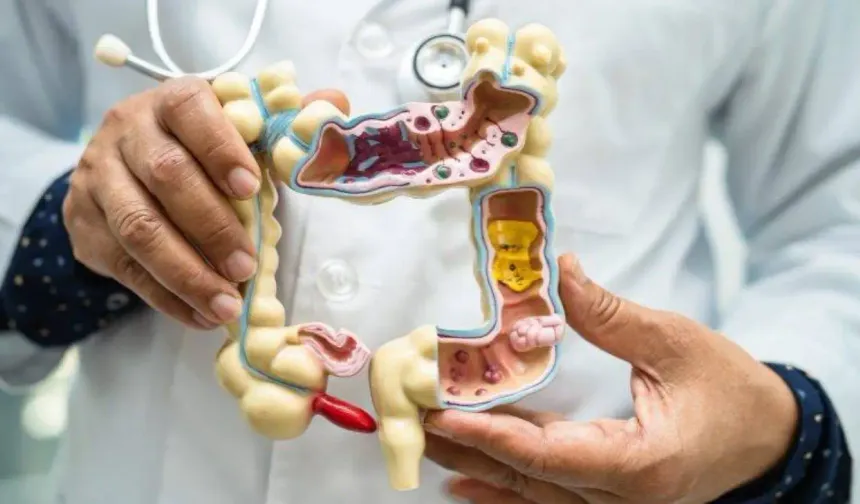 Bağırsak sağlığı için en etkili çözüm: Sofrada yapılan küçük değişiklikler