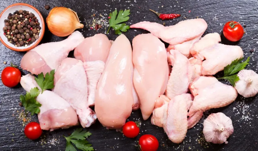 Almanya’da test edilen tavuk ürünlerinde antibiyotiğe dirençli bakteri bulundu