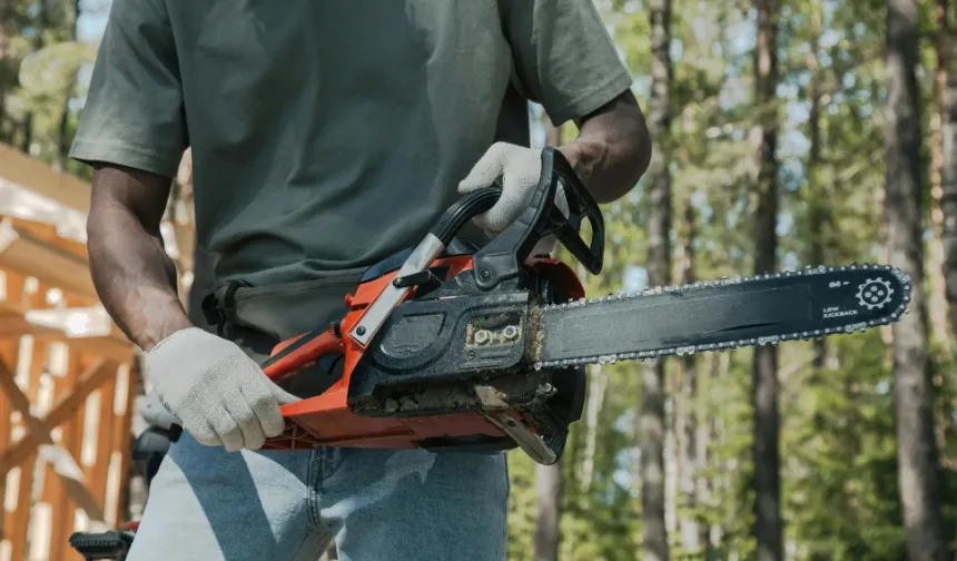 Almanya'da bahçesindeki çit ve ağaçları budayana 10 bin euro ceza