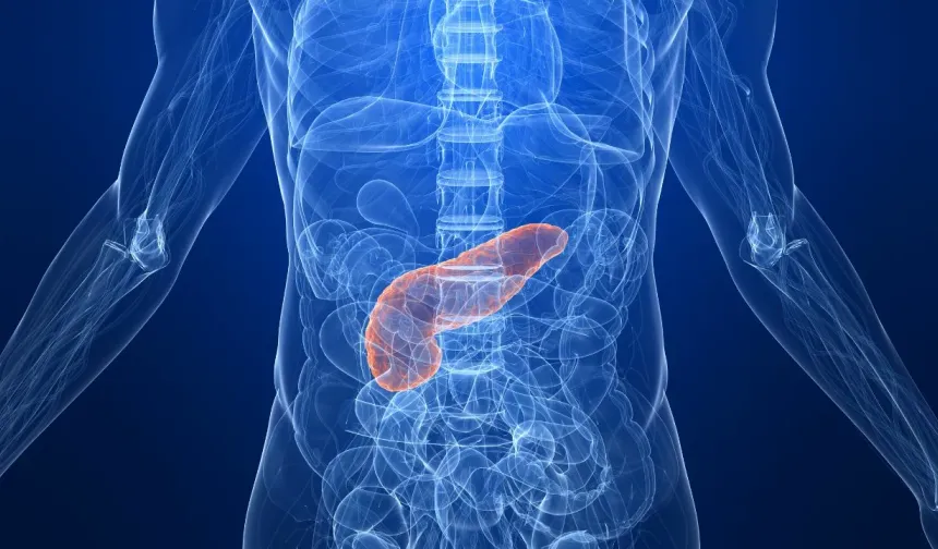 Pankreas kanserinde erken teşhisi kolaylaştıracak yeni kan testi