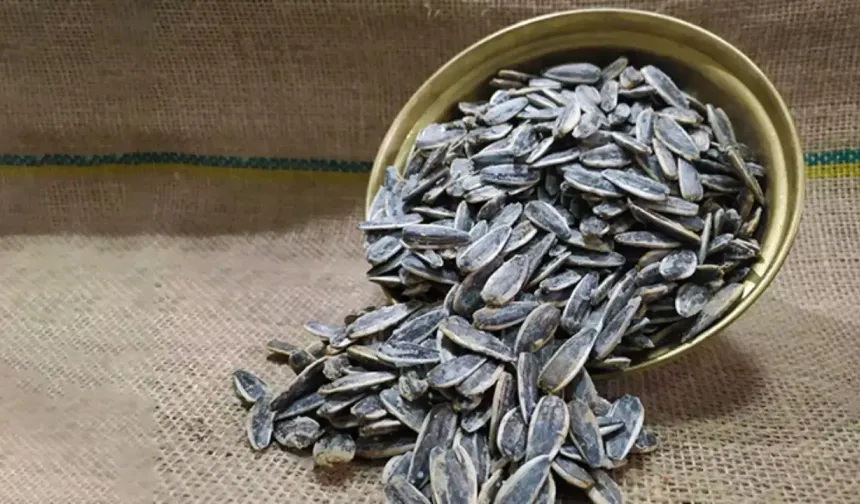 Almanya’da Türk markalı ay çekirdekleri yeniden geri çağrıldı