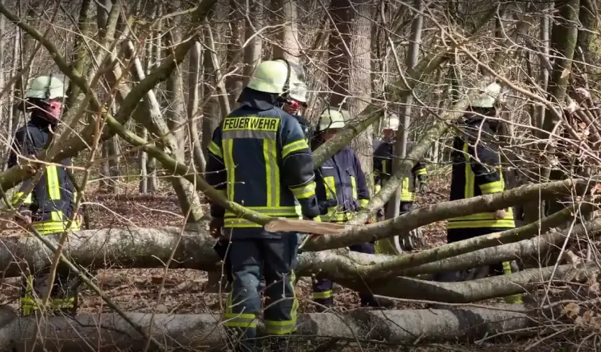 Almanya’da Paskalya yumurtası ararken ağaç devrildi, biri bebek üç kişi öldü