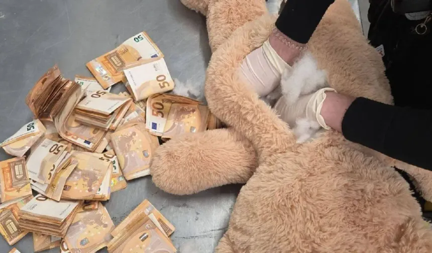 Hollanda’da oyuncak ayının içinden 50 bin euro çıktı