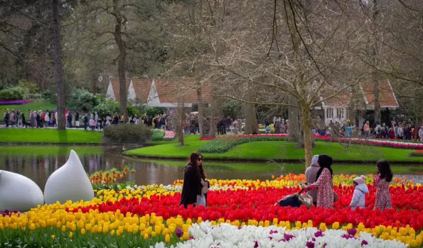 Hollanda’nın en büyük lale bahçesi Keukenhof