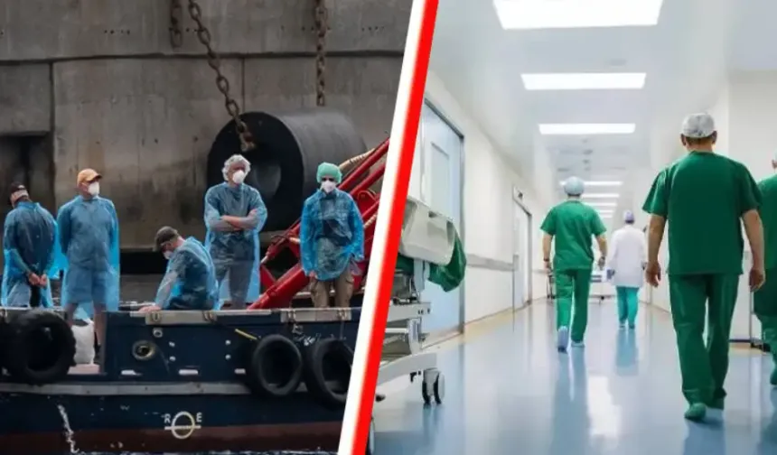 Hantavirüs salgını: Hollanda’da 12 sağlık çalışanı karantinaya alındı