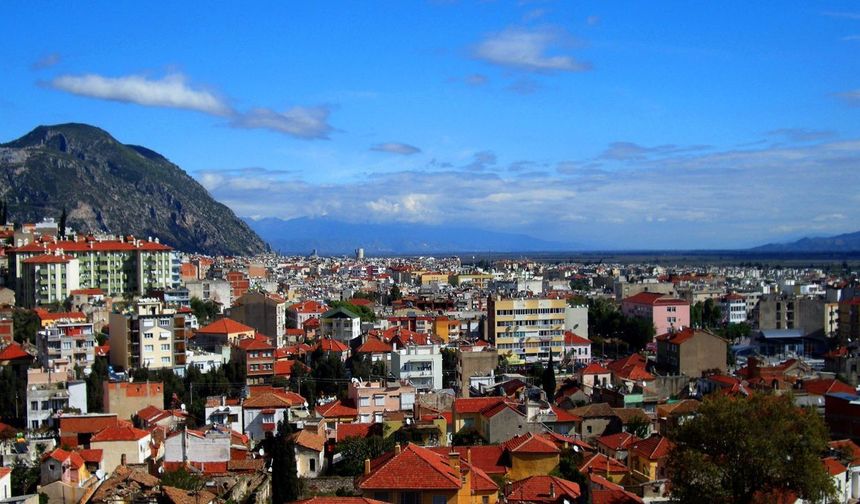 Karacasu İlçesinde Dünya Pazarlarının Gözdesi Olan Kuru İncirde İhracat Sezonu Hareketliliği