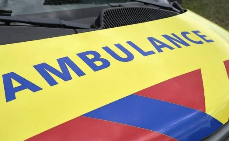 Hollanda’da her gün ortalama 2 kişi trafikte hayatını kaybediyor