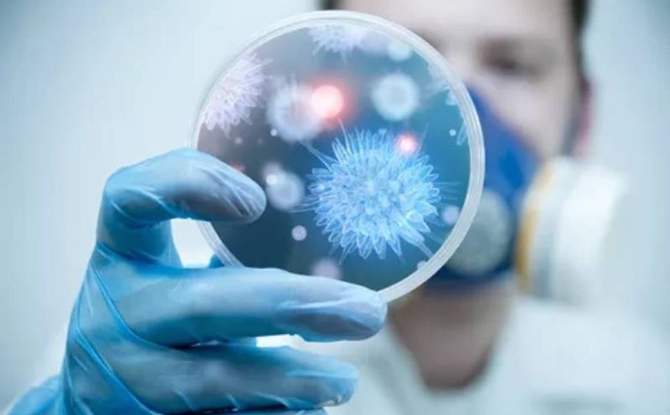 Aşısı ve tedavisi bulunmayan Nipah virüsü can almaya başladı