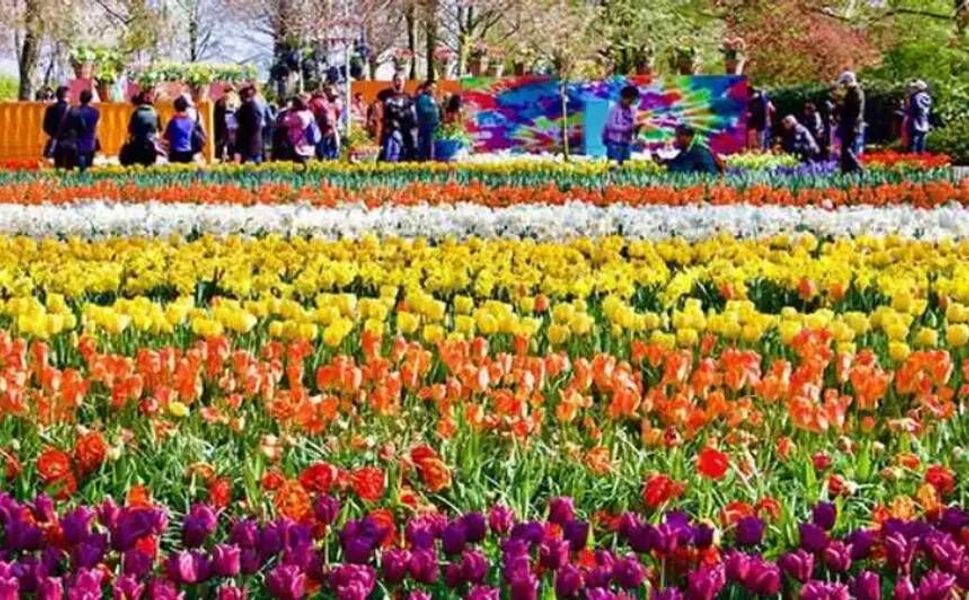 Hollanda’da bu hafta sıcaklıklar 20 dereceye çıkıyor