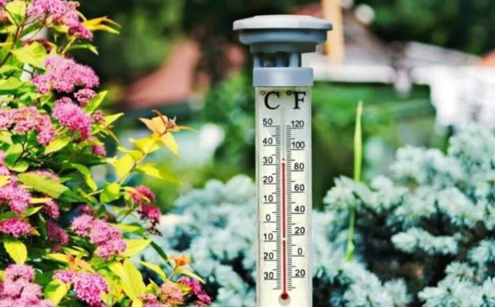 Hollanda’da gündüz sıcaklıklar artıyor, geceleri ise don riski var