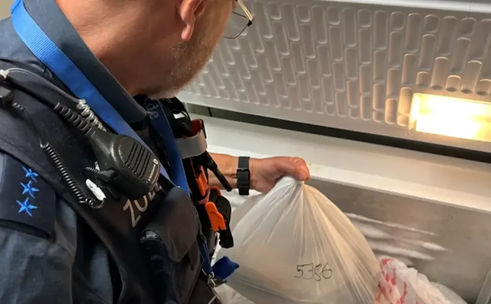 Almanya’da bir havalimanında, bir yılda çoğu Türk yolcuya ait 435 kilo gıda imha edildi