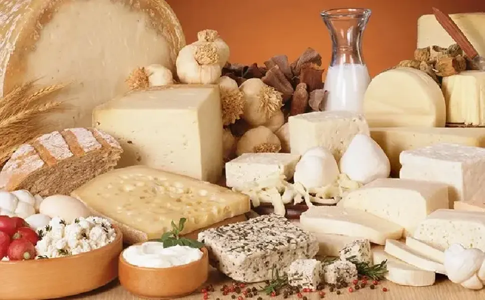 Peynir en iyi nasıl saklanır? Küflenmeden taze tutmanın yolları