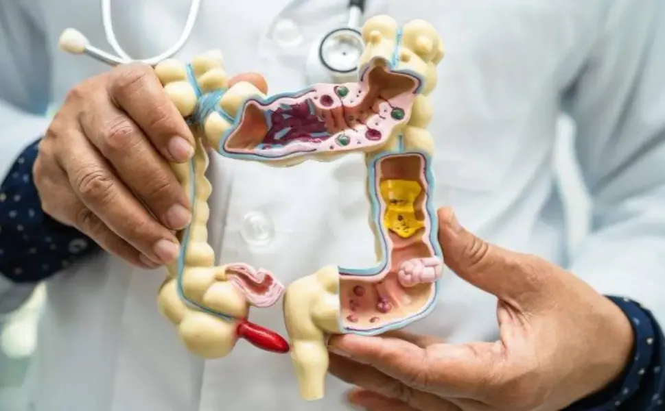 Bağırsak sağlığı için en etkili çözüm: Sofrada yapılan küçük değişiklikler