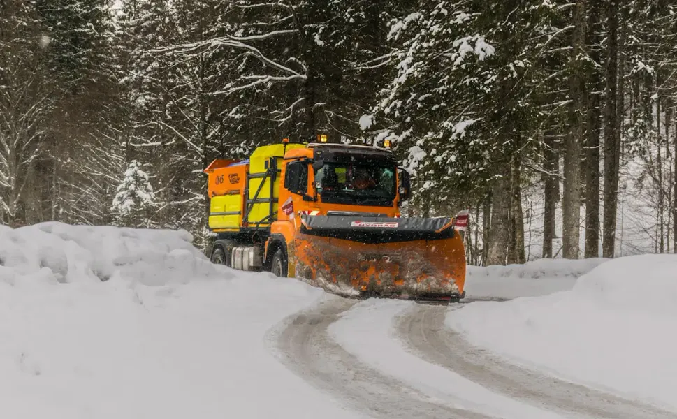 Almanya’da şubat sonuna kadar dondurucu soğuklar bekleniyor