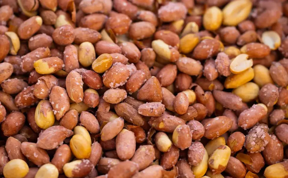 Almanya’da tuzlu fıstık testi: Bir ürün ciddi sağlık riski taşıyor