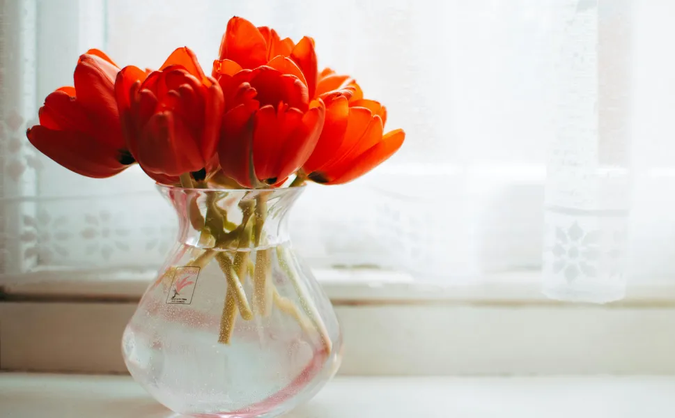 Vazodaki çiçekleri uzun süre taze tutmanın yolu