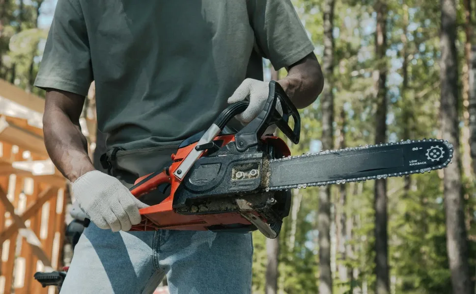 Almanya'da bahçesindeki çit ve ağaçları budayana 10 bin euro ceza