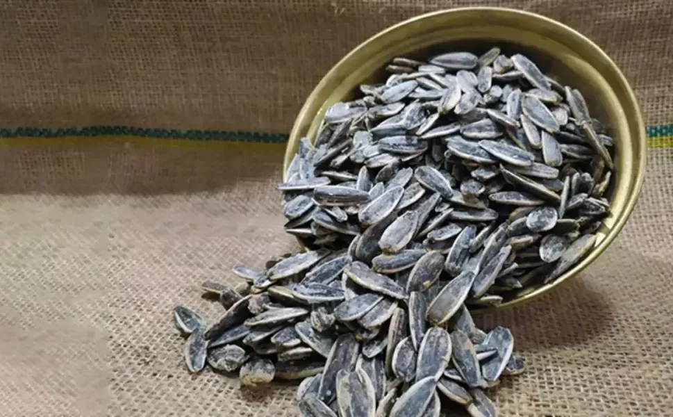 Almanya’da Türk markalı ay çekirdekleri yeniden geri çağrıldı