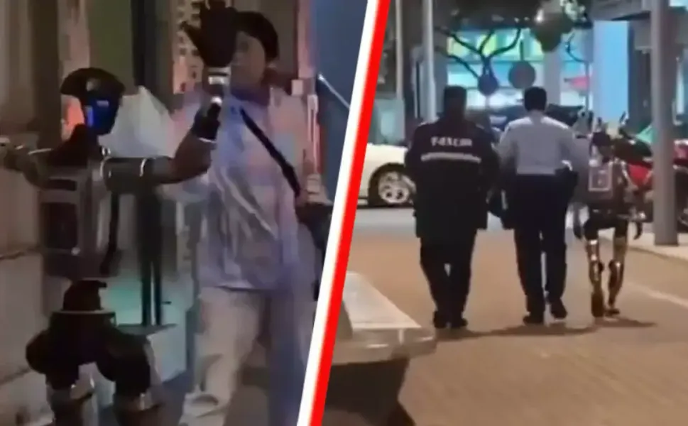 Çin’de ilk kez polis bir robotu gözaltına aldı