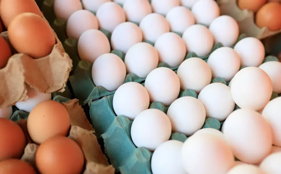 Hollanda’da yumurta fiyatları rekor seviyeye ulaştı