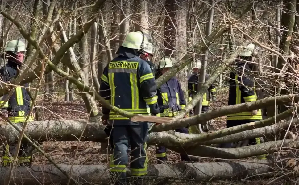 Almanya’da Paskalya yumurtası ararken ağaç devrildi, biri bebek üç kişi öldü