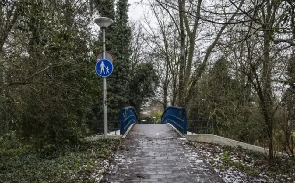 Amsterdam'da iki Suriyeli genci öldüren Türk'ün davasında yeni gelişme