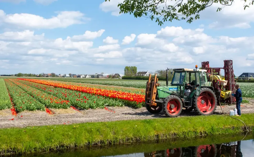 Hollanda’da dizel fiyatları çiftçiyi vurdu: Gıda fiyatlarının artması bekleniyor